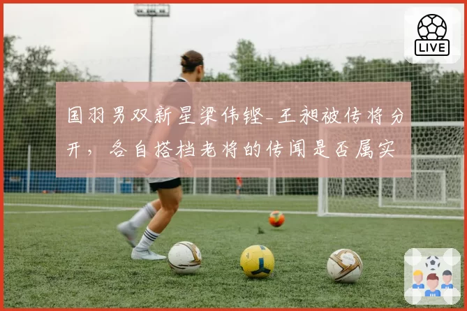 国羽男双新星梁伟铿_王昶被传将分开，各自搭档老将的传闻是否属实？